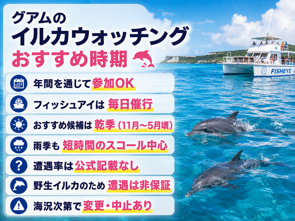 イルカウォッチングにおすすめの時期は？