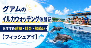イルカウォッチング おすすめ時期・料金・船酔い