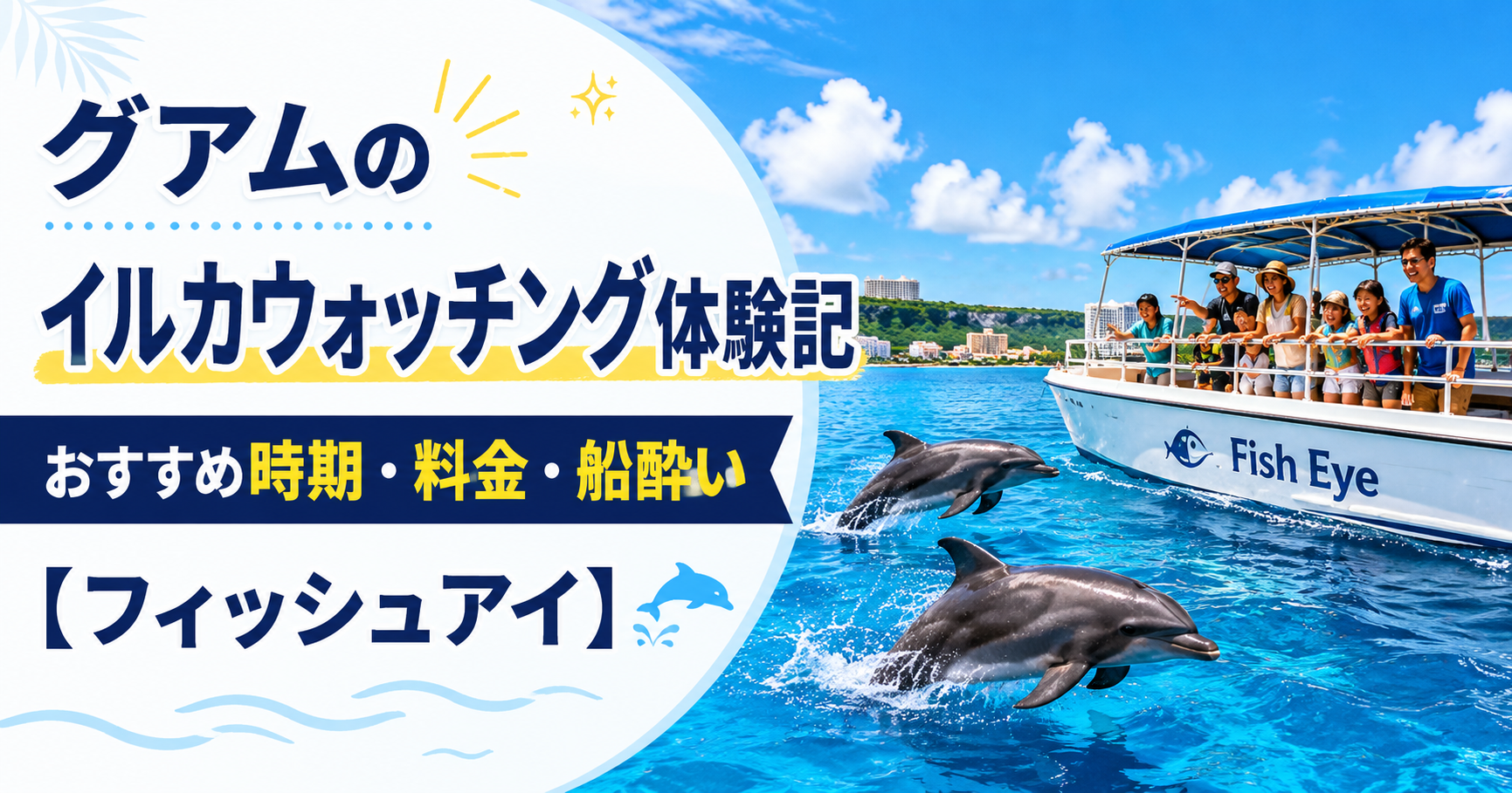 イルカウォッチング　おすすめ時期・料金・船酔い