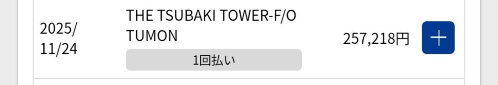 ツバキタワークレジット明細