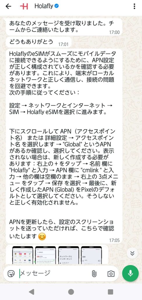 holafly_チャット内容